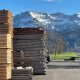 Die Holzindustrie braucht und verarbeitet mehr Schweizer Holz