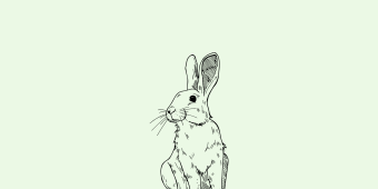 Frohe Ostern 