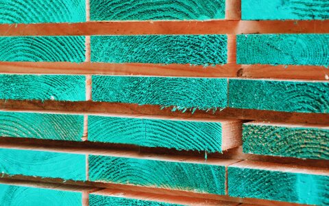 Verwurzelt in der Region — sichtbar in der digitalen Welt