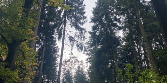 ERFA-Nachmittag 2025 