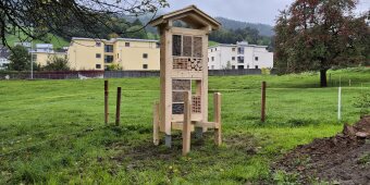 Tage des Schweizer Holzes 